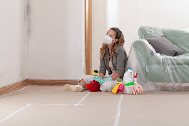 Reliable Black Mold Removal contractor in Lewistown, PA by WQB Mold Removal